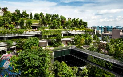 The Green Premium: How Sustainability Influence Property Value in Singapore